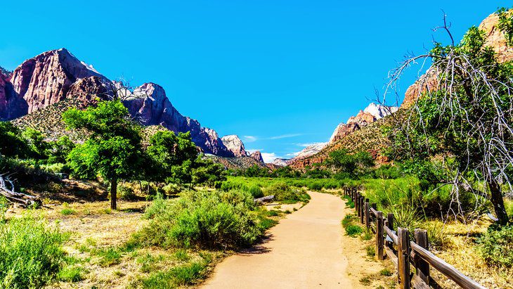 11 Top-Rated Hiking Trails in Zion National Park