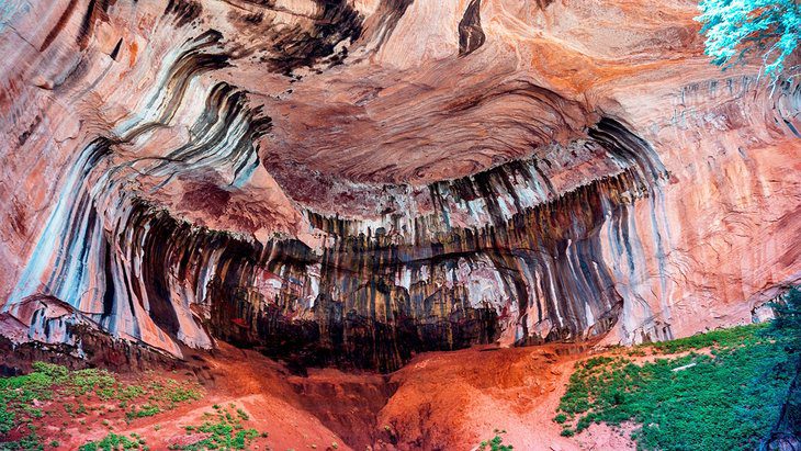 11 Top-Rated Hiking Trails in Zion National Park