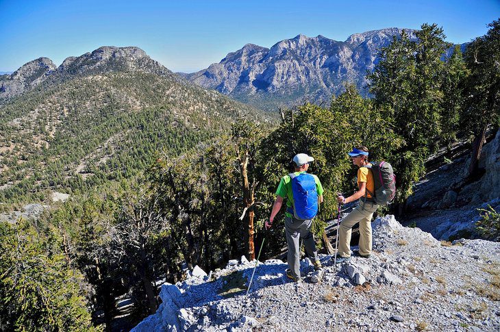 11 Top-Rated Hiking Trails near Las Vegas, NV