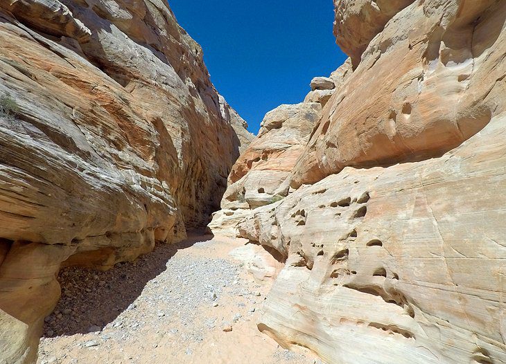 11 Top-Rated Hiking Trails near Las Vegas, NV