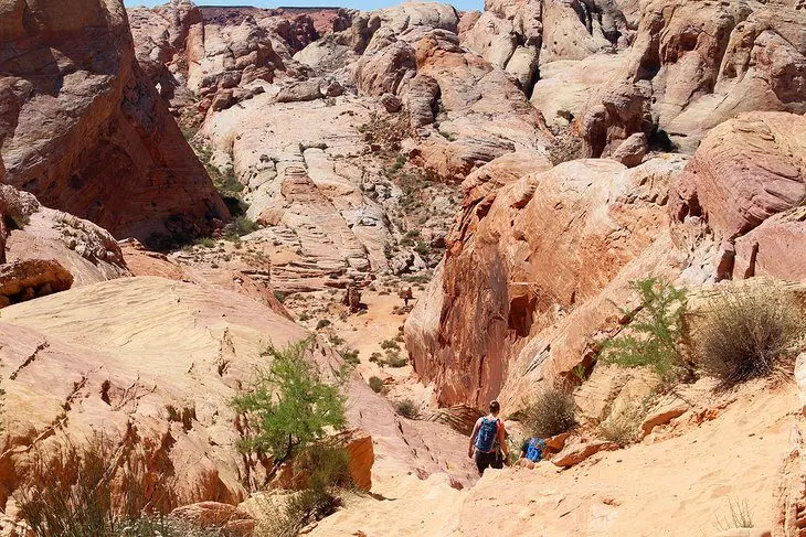 11 Top-Rated Hiking Trails near Las Vegas, NV