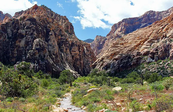 11 Top-Rated Hiking Trails near Las Vegas, NV