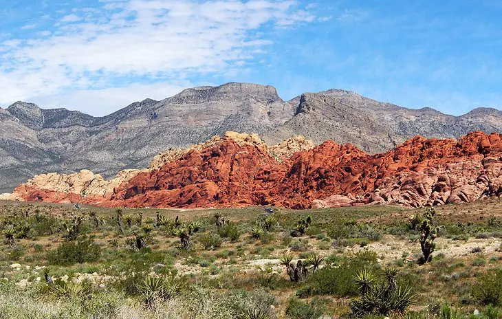 11 Top-Rated Hiking Trails near Las Vegas, NV