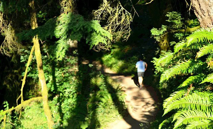 11 Top-Rated Hiking Trails near Portland, Oregon