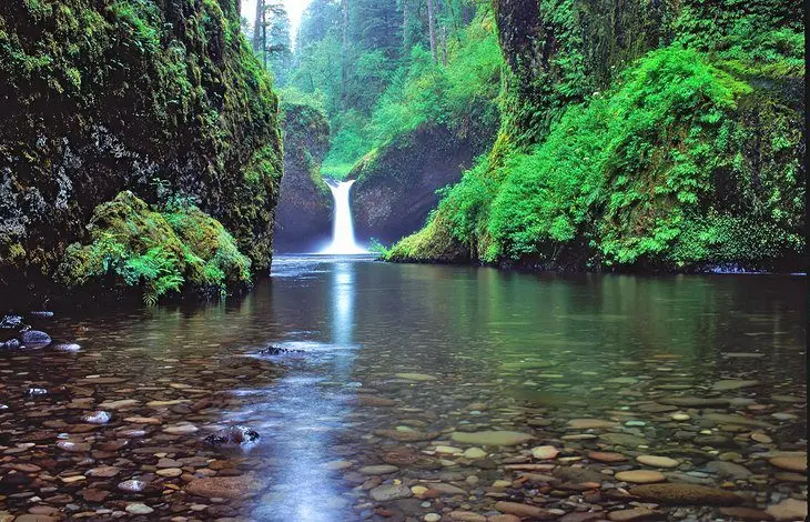 11 Top-Rated Hiking Trails near Portland, Oregon