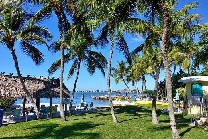 11 Top-Rated Resorts in Key Largo, FL