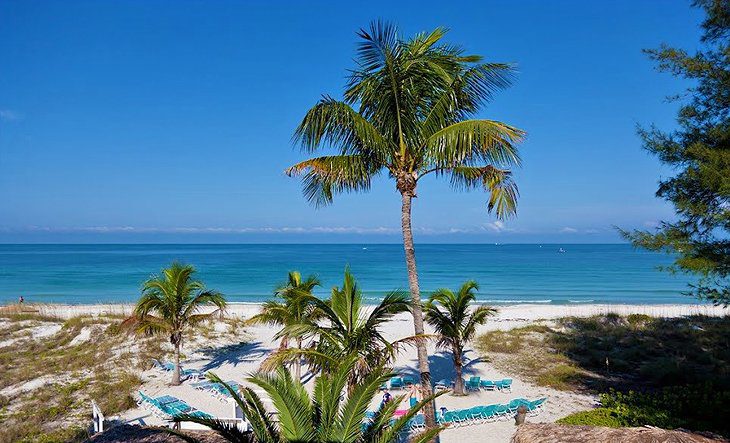 11 Top-Rated Resorts in Sarasota, FL