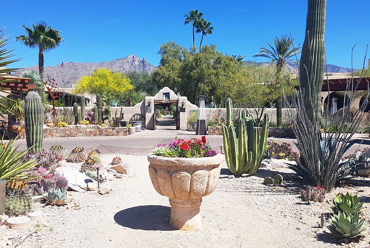 11 Top-Rated Resorts in Tucson, AZ