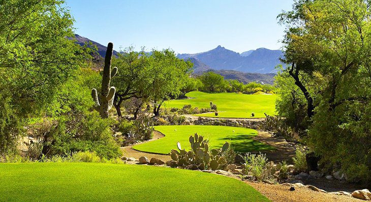 11 Top-Rated Resorts in Tucson, AZ