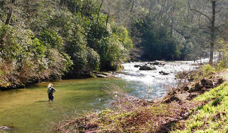 11 Top-Rated Rivers for Trout Fishing in North Carolina