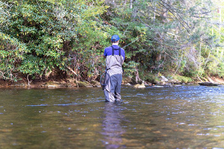 11 Top-Rated Rivers for Trout Fishing in North Carolina