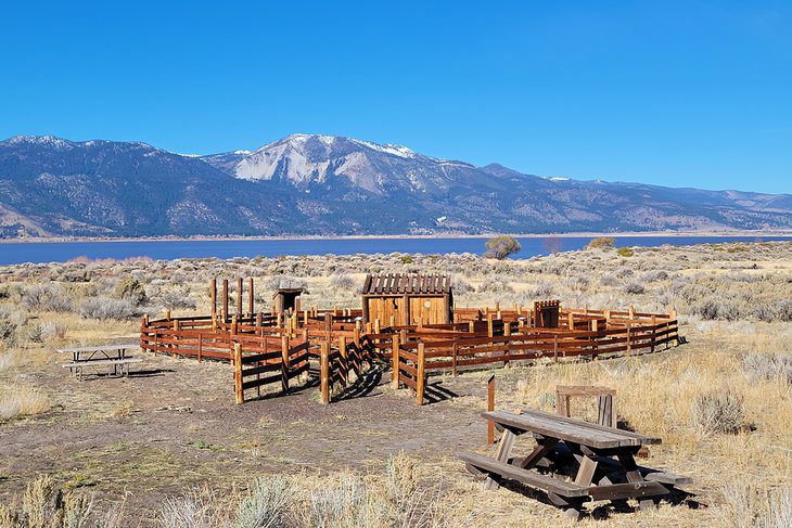 11 Top-Rated Things to Do in Carson City, NV