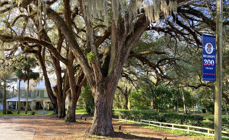 11 Top-Rated Things to Do in Gainesville, FL