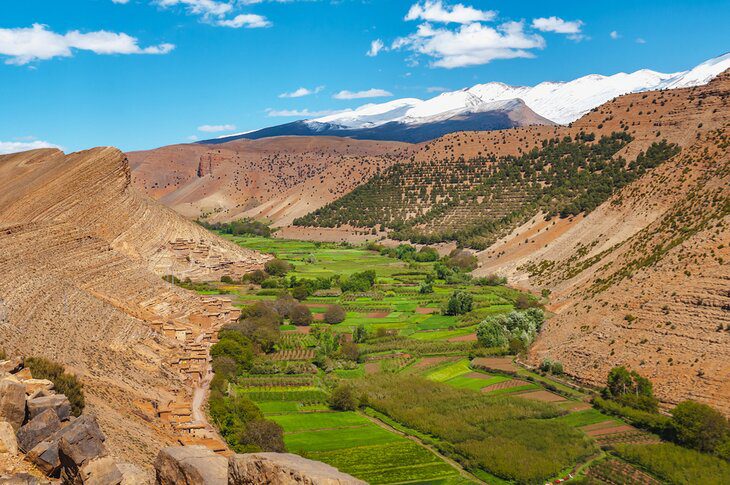 11 Top-Rated Things to Do in Moroccos High Atlas Region