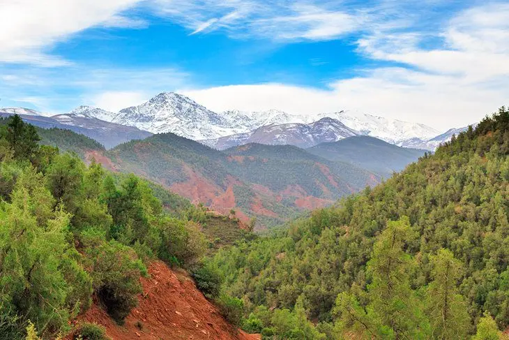 11 Top-Rated Things to Do in Moroccos High Atlas Region