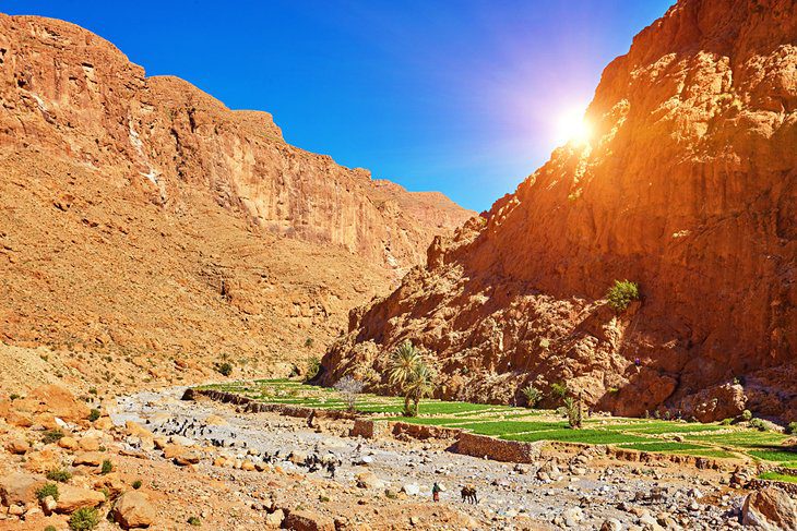 11 Top-Rated Things to Do in Moroccos High Atlas Region