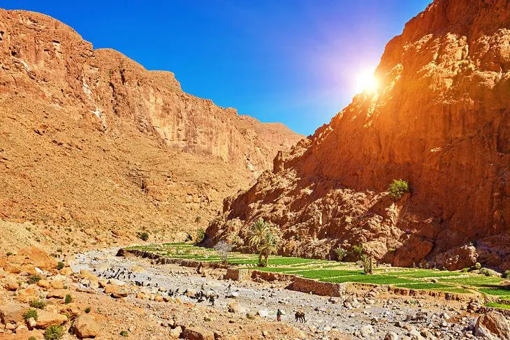 11 Top-Rated Things to Do in Moroccos High Atlas Region