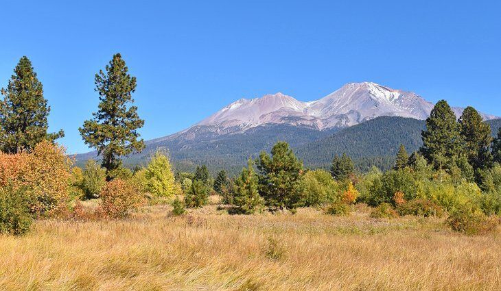 11 Top-Rated Things to Do in Mt. Shasta, CA