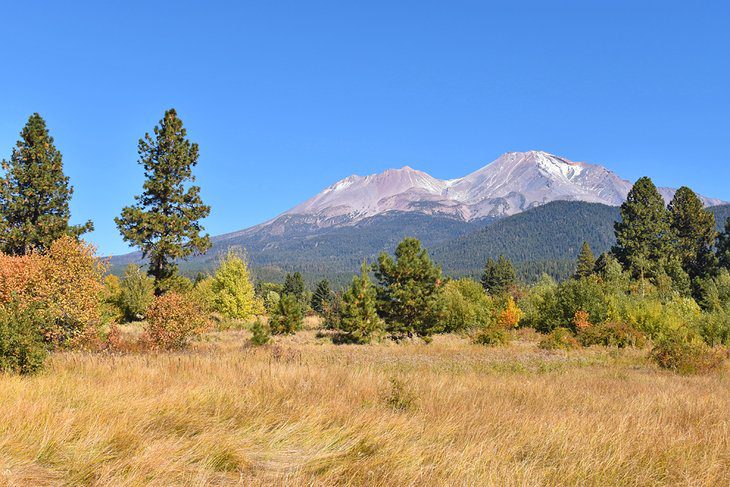 11 Top-Rated Things to Do in Mt. Shasta, CA