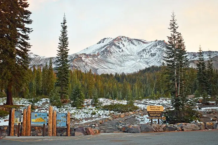 11 Top-Rated Things to Do in Mt. Shasta, CA