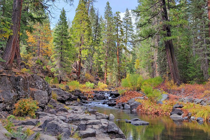 11 Top-Rated Things to Do in Mt. Shasta, CA