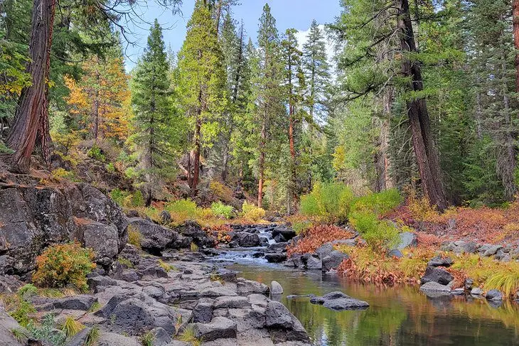 11 Top-Rated Things to Do in Mt. Shasta, CA