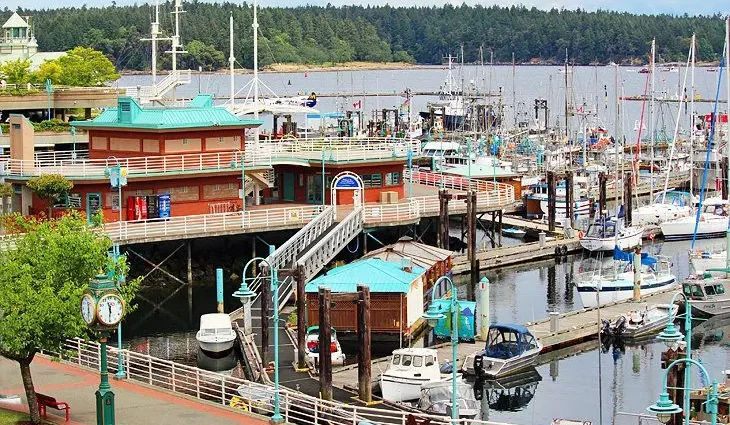 11 Top-Rated Things to Do in Nanaimo, BC