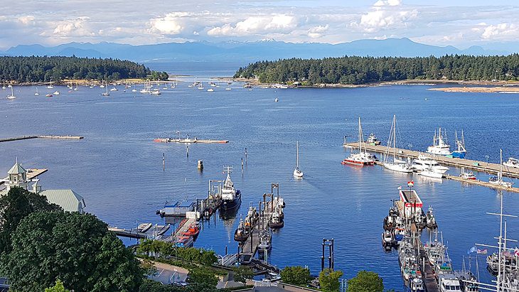 11 Top-Rated Things to Do in Nanaimo, BC