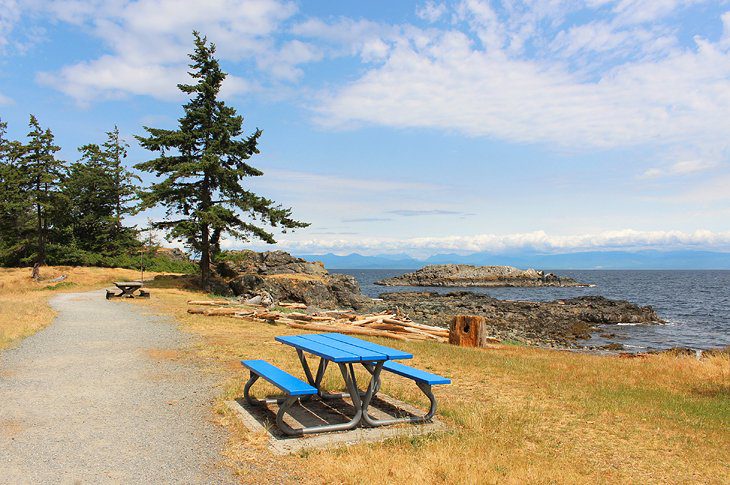 11 Top-Rated Things to Do in Nanaimo, BC