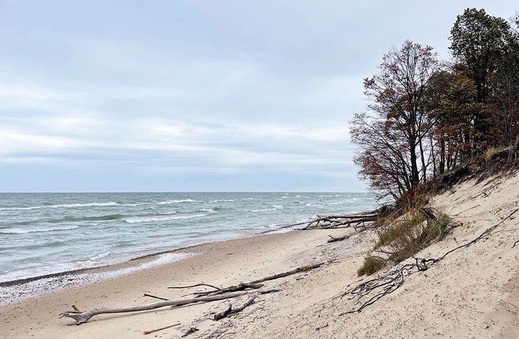 11 Top-Rated Things to Do in South Haven, MI