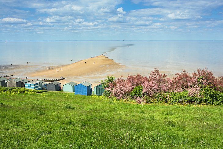 11 Top-Rated Things to Do in Whitstable, England