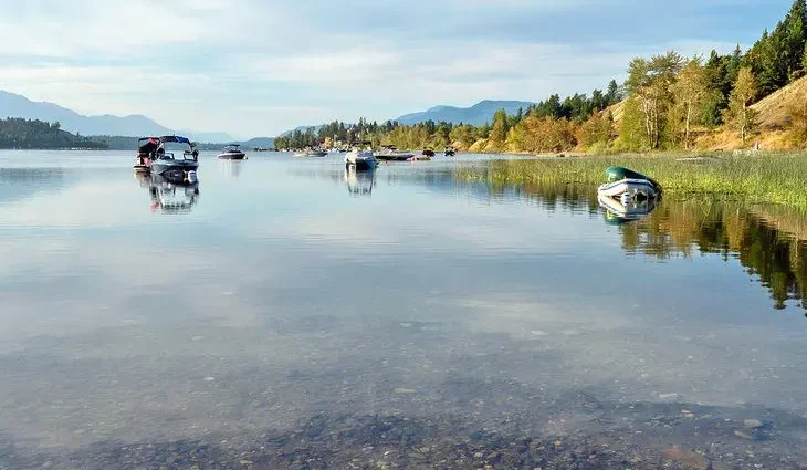 11 Top-Rated Things to Do in Windermere, BC