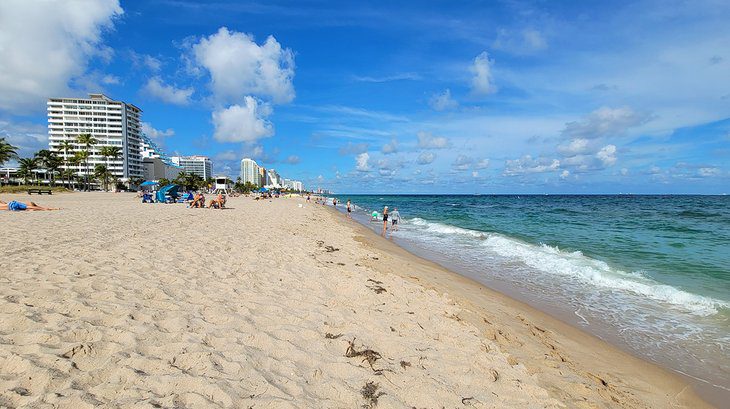 11 Top-Rated Tourist Attractions in Fort Lauderdale, FL