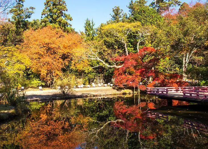 11 Top-Rated Tourist Attractions in Nara