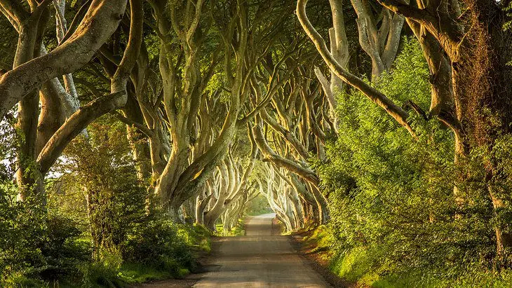 11 Top-Rated Tourist Attractions in Northern Ireland