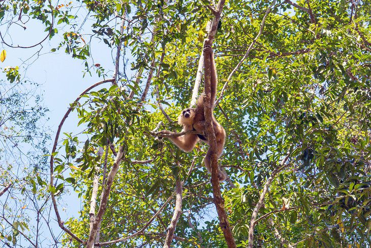 11 Top-Rated Tourist Attractions in Siem Reap