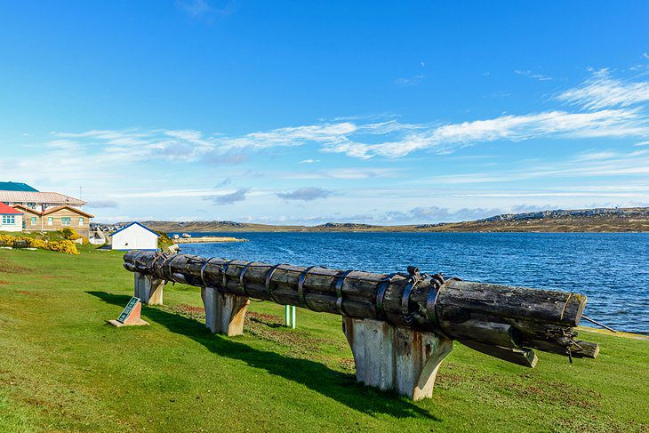 11 Top-Rated Tourist Attractions in the Falkland Islands