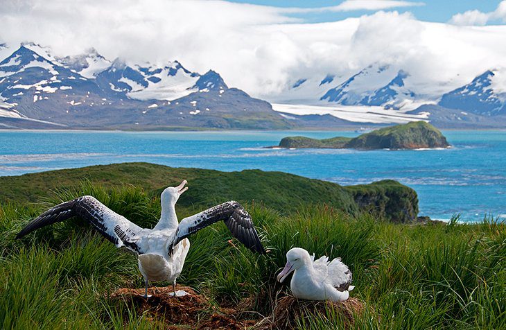 11 Top-Rated Tourist Attractions in the Falkland Islands