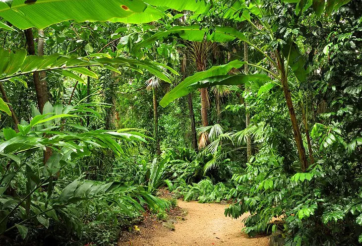 11 Top-Rated Tourist Attractions & Things to Do in Cairns