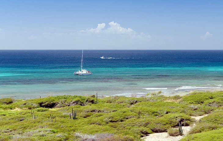 12 Best Beaches in Aruba (with Map)