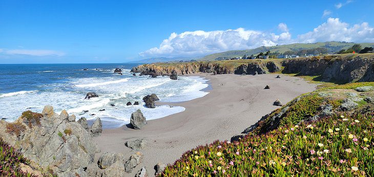 12 Best Beaches in Bodega Bay, CA