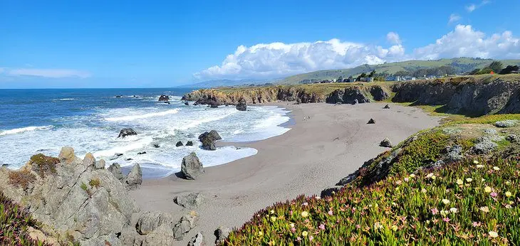 12 Best Beaches in Bodega Bay, CA