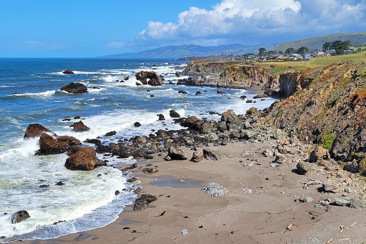 12 Best Beaches in Bodega Bay, CA