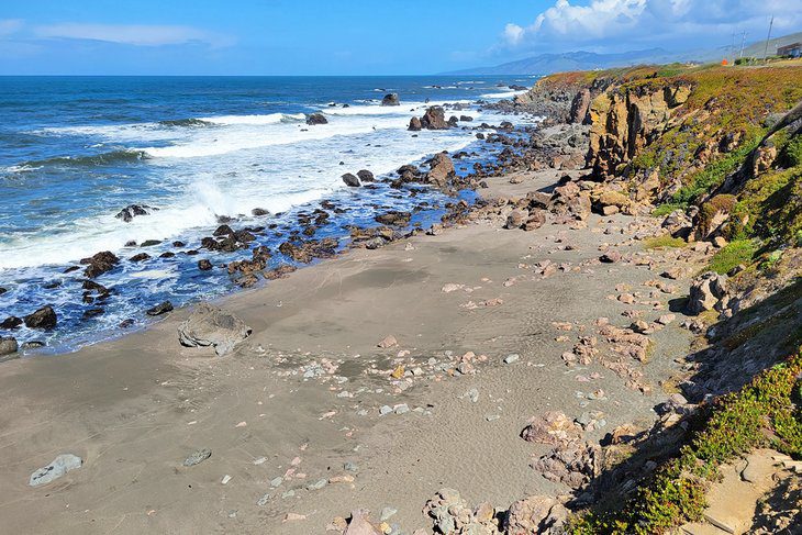 12 Best Beaches in Bodega Bay, CA