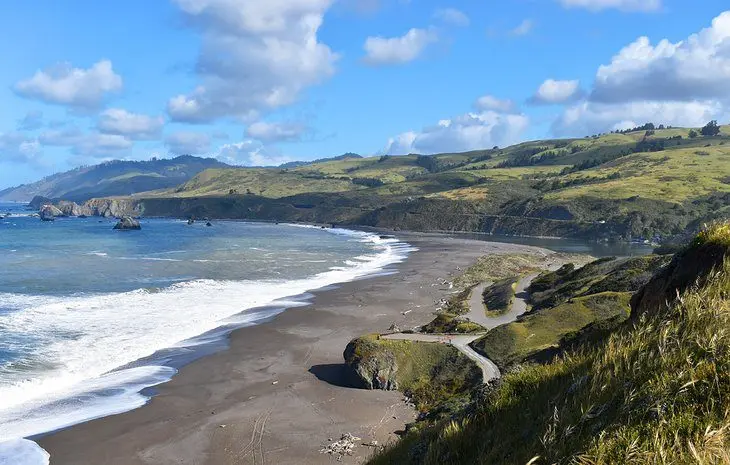 12 Best Beaches in Bodega Bay, CA