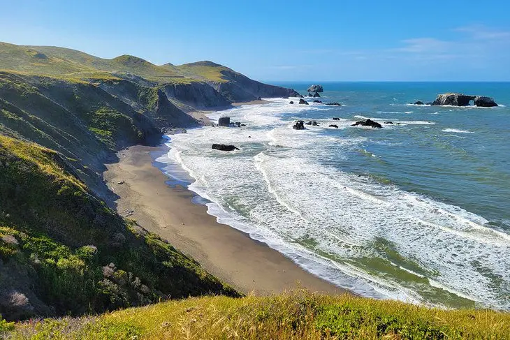 12 Best Beaches in Bodega Bay, CA