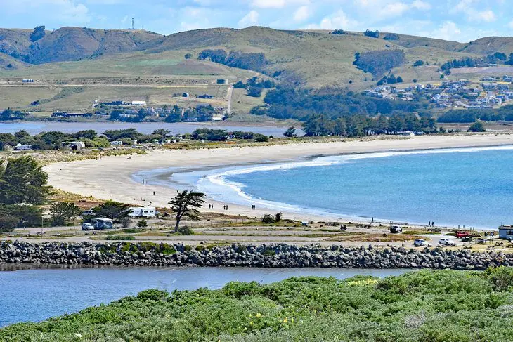 12 Best Beaches in Bodega Bay, CA