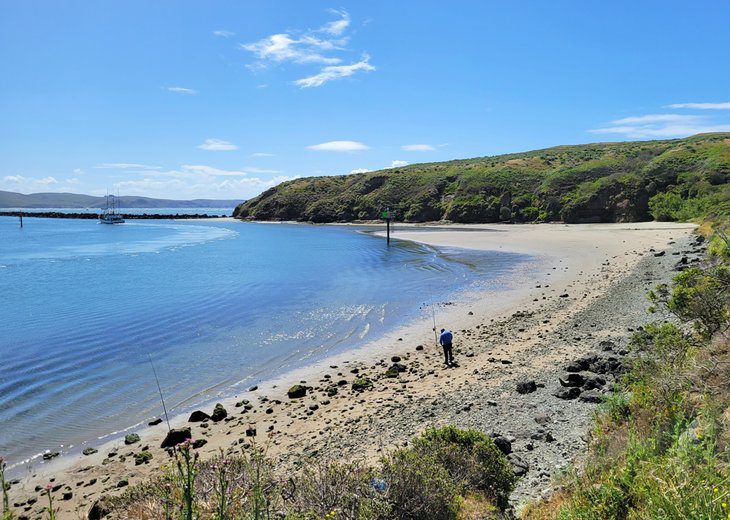 12 Best Beaches in Bodega Bay, CA