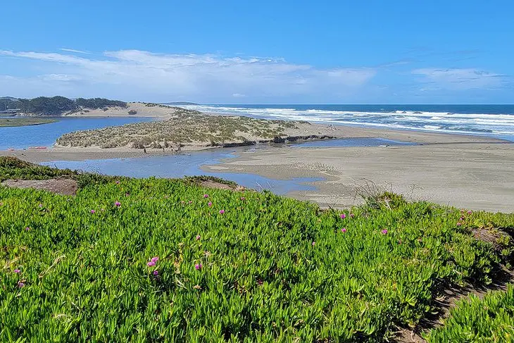 12 Best Beaches in Bodega Bay, CA