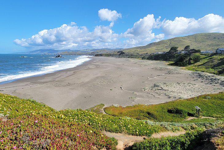 12 Best Beaches in Bodega Bay, CA